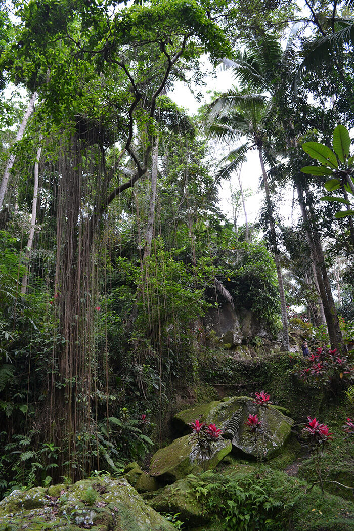 Bali bezienswaardigheden: Elephant Cave