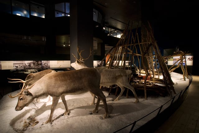 Lapland Arktikum