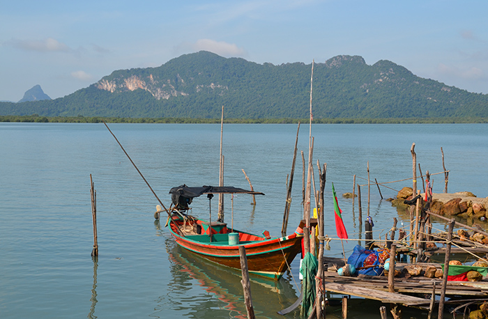 Roze dolfijnen Thailand