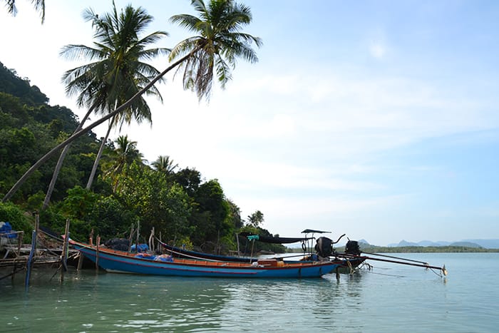 Roze dolfijnen Thailand