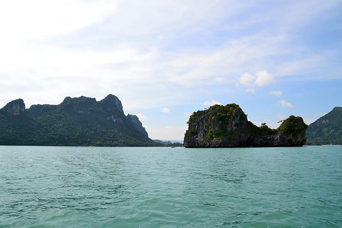 Roze dolfijnen Thailand