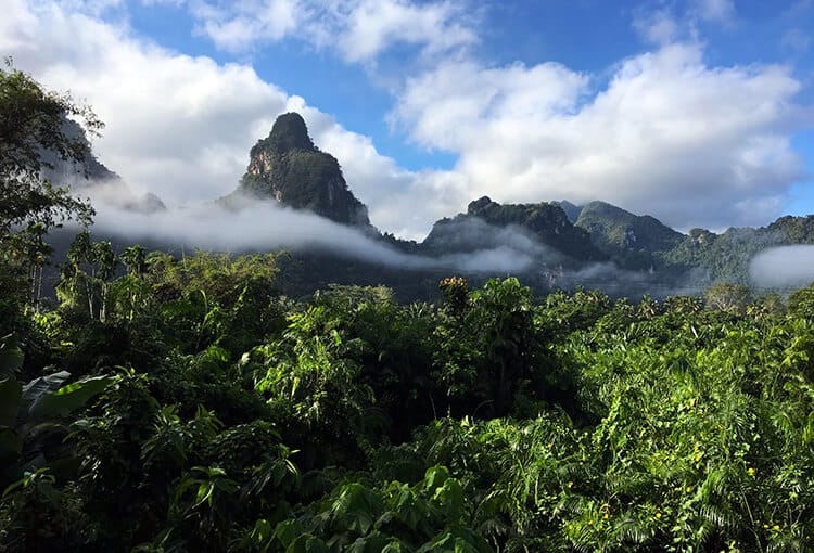 Khao Sok National Park
