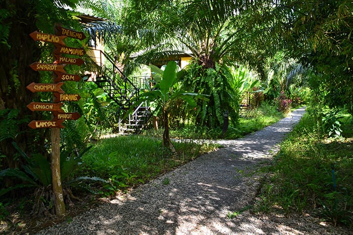 Khao Sok National Park