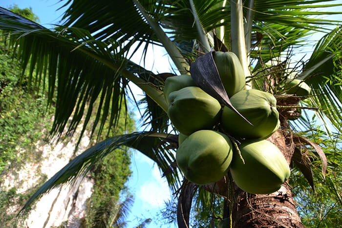 Khao Sok National Park