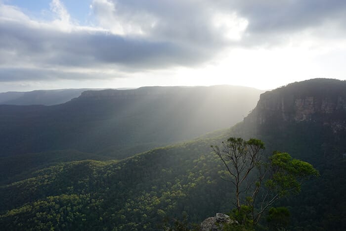 Blue Mountains Australië