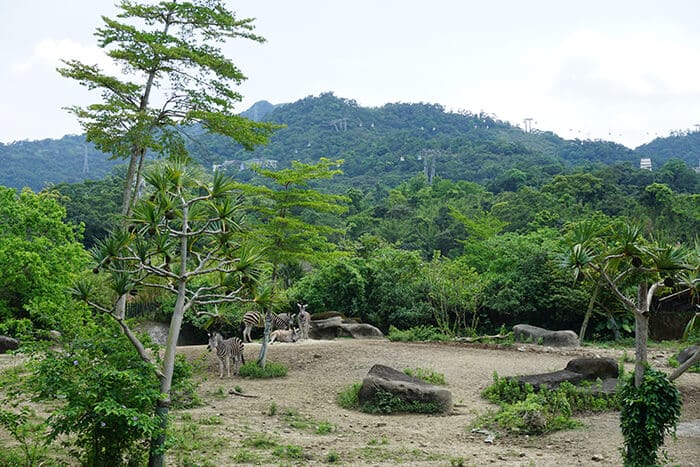 Wat te doen in Taipei