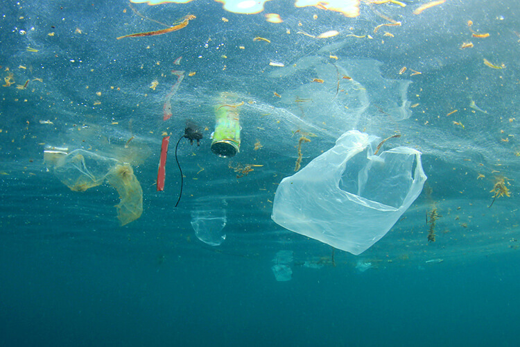 Plasticvrije wereld