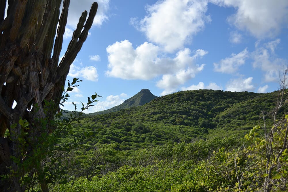 Christoffelberg vanuit Christoffelpark
