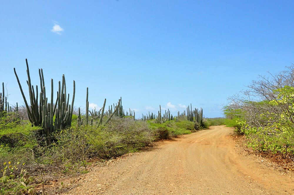 Auto huren op Curacao