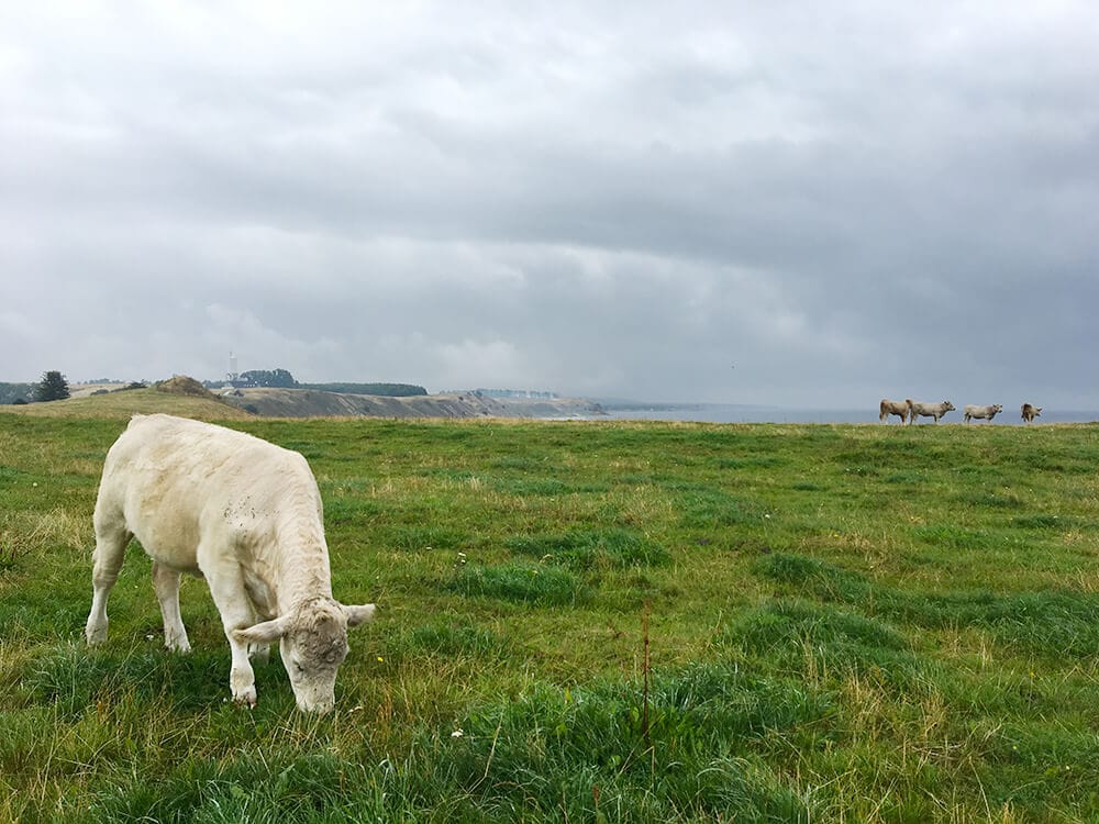 Skåne (Zweden): Ales Stenar