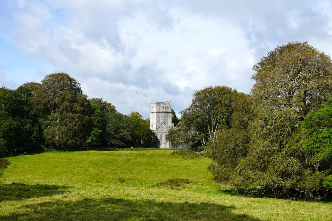 Muckross Abbey - Killarney National Park
