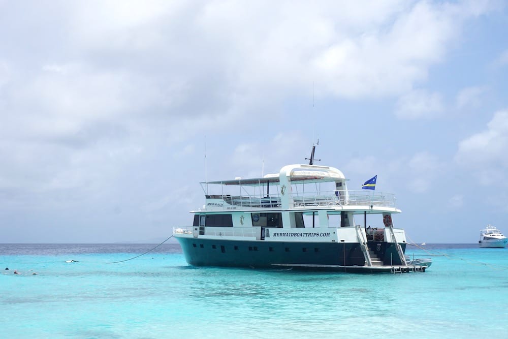 Klein Curacao trip: Mermaid