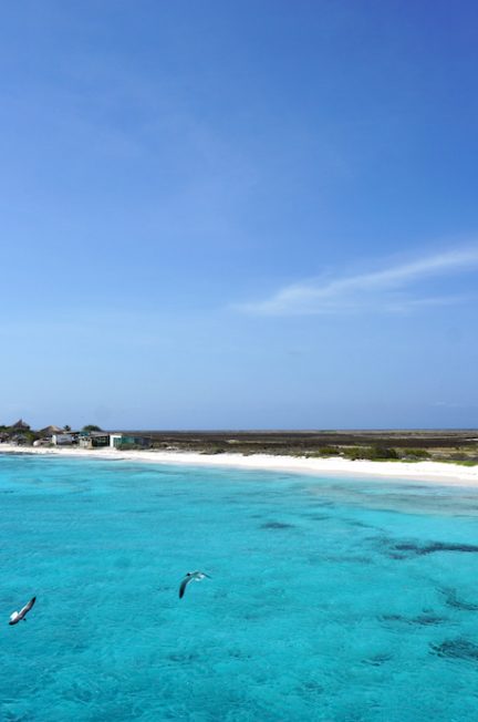 Klein Curaçao trip