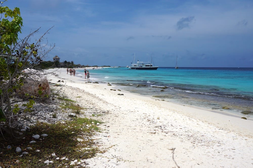 Klein Curacao trip: aanbieders