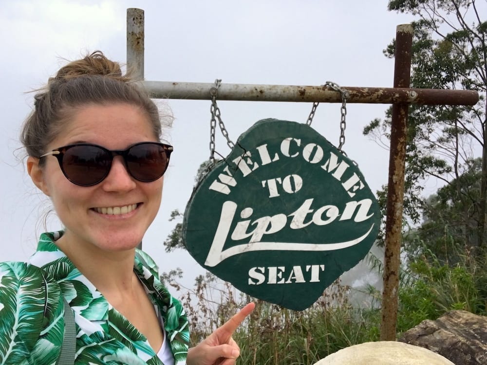 Lipton's Seat