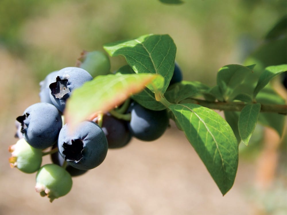 Wat te doen op Terschelling