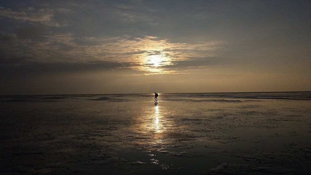 Wat te doen op Terschelling: wadlopen