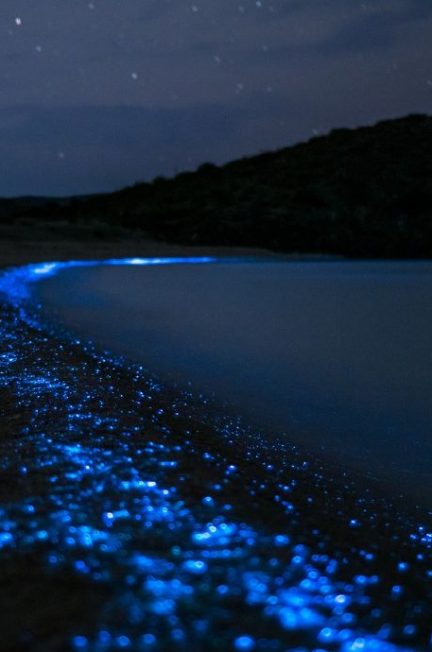 Lichtgevend plankton Colombia