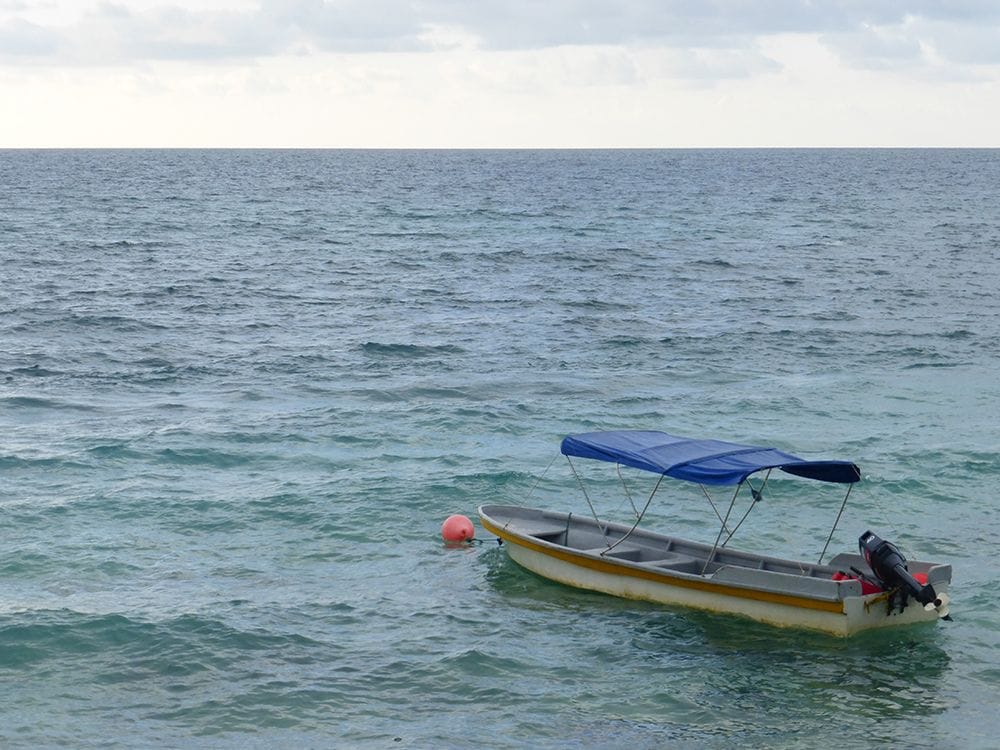 Lichtgevend plankton Colombia