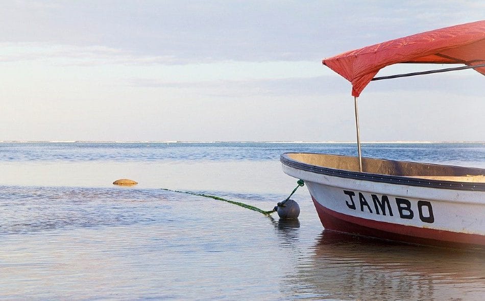 Wat te doen in Zanzibar 9 tips! Reisdoc.nl Wat te doen in Zanzibar 9 tips! Reisdoc.nl