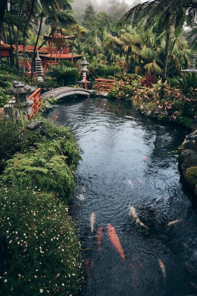 Monte botanical garden