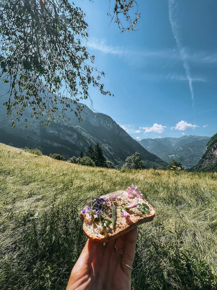 Savoie Mont Blanc, Franse Alpen