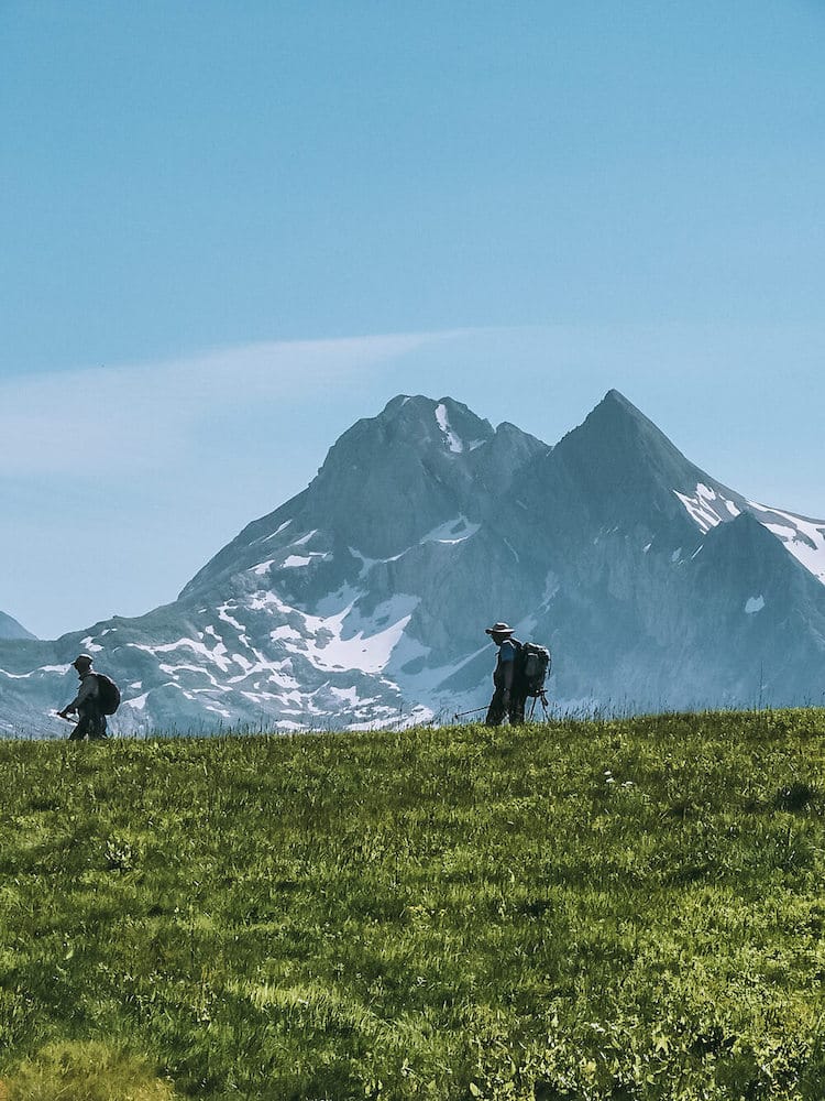 Savoie Mont Blanc, Franse Alpen
