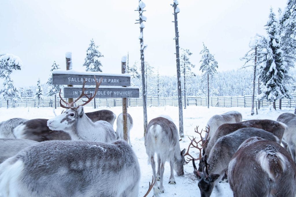 Lapland in 4 dagen