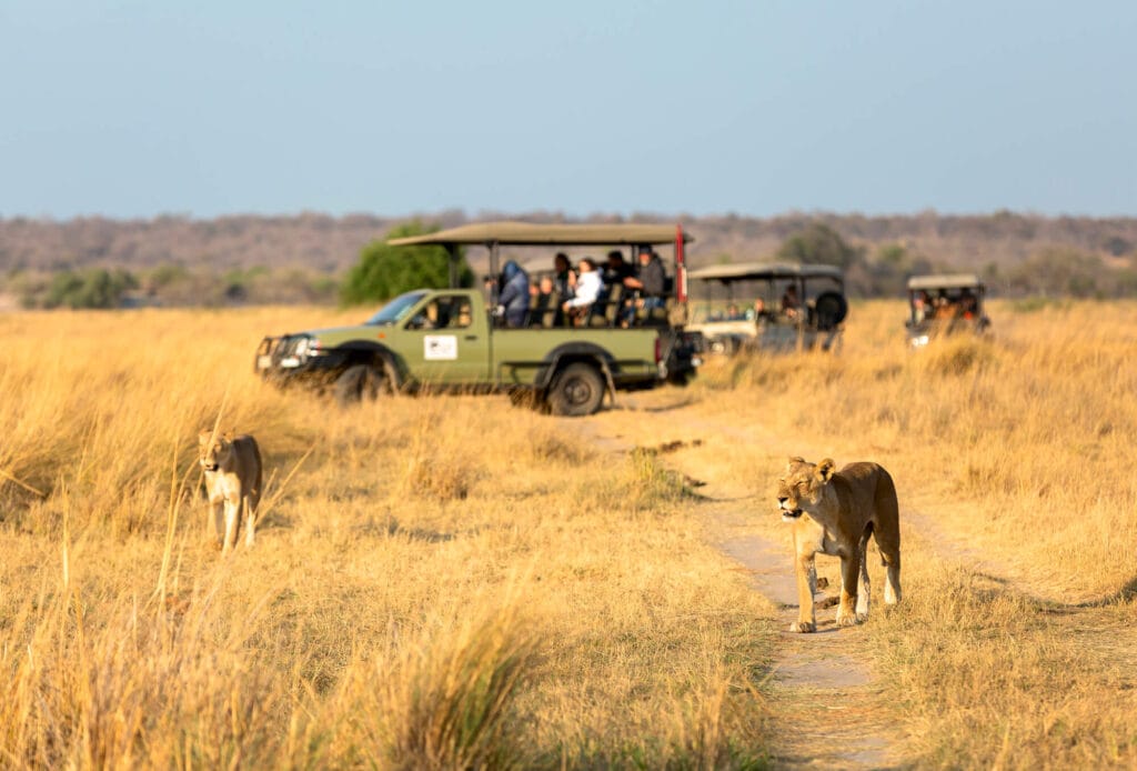 Op safari in Tanzania