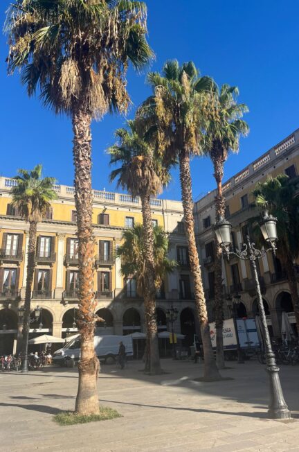 Barcelona park plein citytrip hotspots